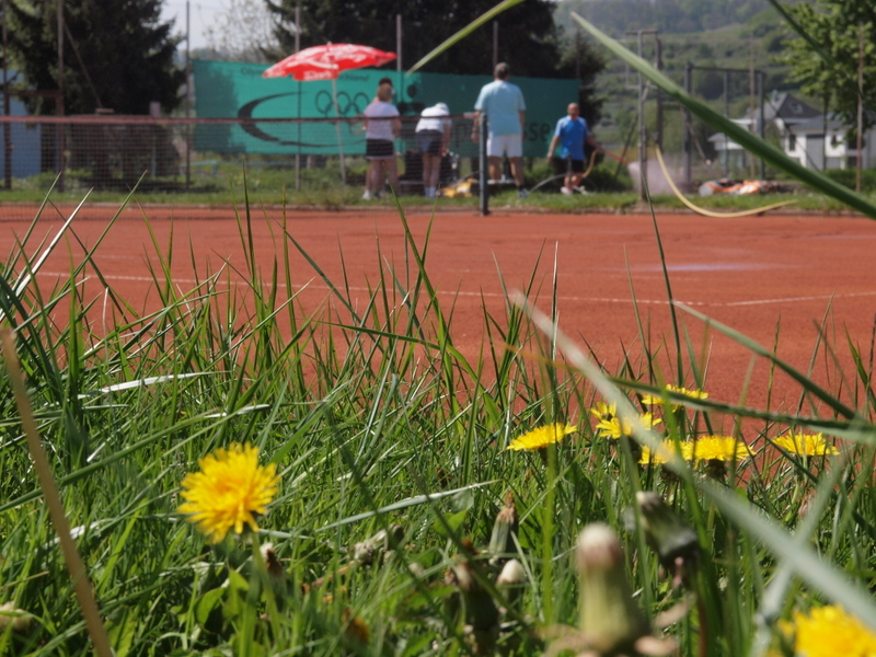 TCK Bötzingen Anlage